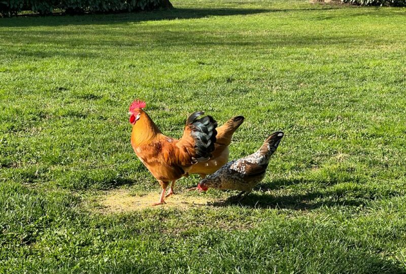 PHOTO-2023-03-16-09-27-52 3